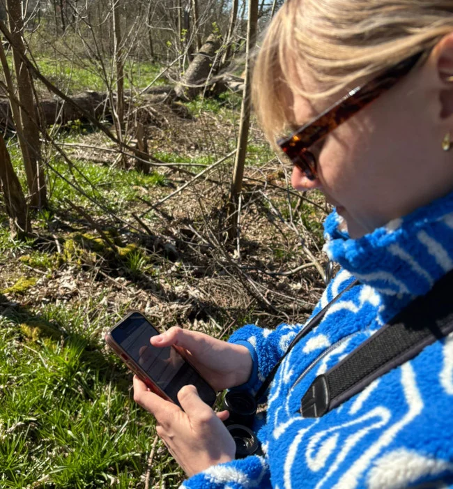 Woman using her phone in the Knepp countryside to record species