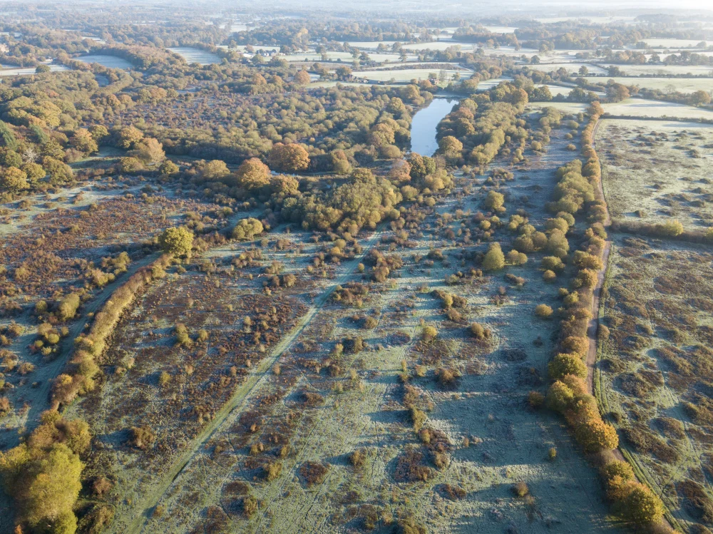 An aerial view of the Knepp estate showing trees and shrub and grassland